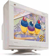 wpe8.jpg (22552 �ֽ�)